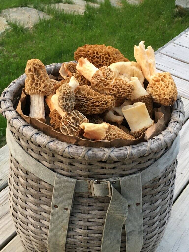 Adirondack Trappers Basket